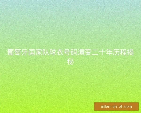 葡萄牙国家队球衣号码演变二十年历程揭秘