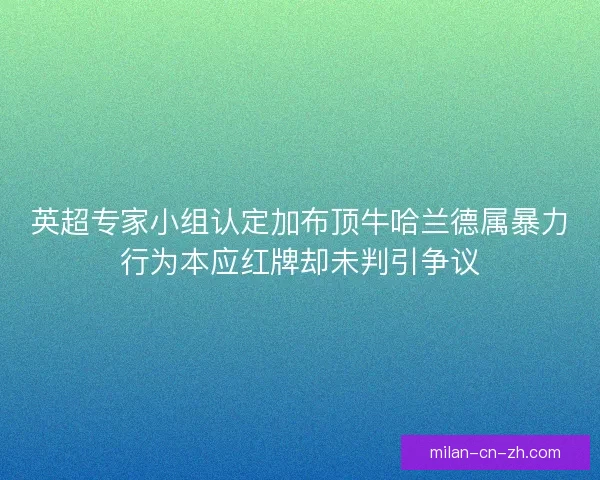 英超专家小组认定加布顶牛哈兰德属暴力行为本应红牌却未判引争议